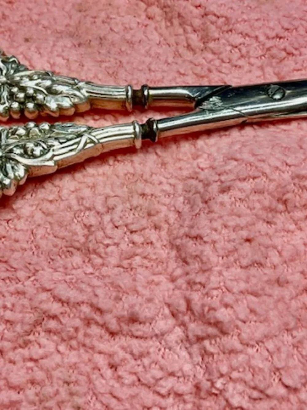 Victorian Grape Shears 7